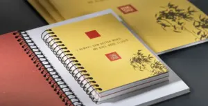 Scopri di più sull'articolo Ci siamo! Seriamente
