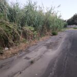 Segnalazioni Multiple (parte 1)